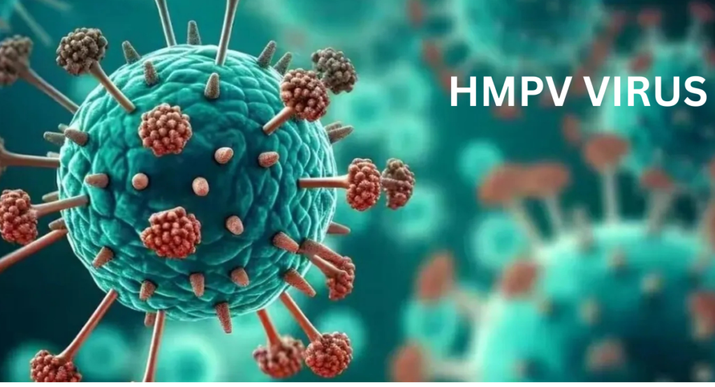 HMPV Virus Cases In India List     I    HMPV Full Form       I  HMPV Virus: क्या हैं वायरस के लक्षण एवम बचाव? 5 प्वाइंट में जानें सबकुछ